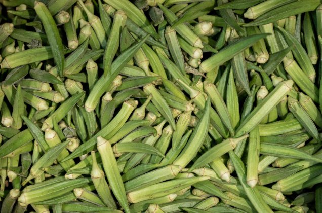 Healthy crunchy okra-a perfect side for lunch